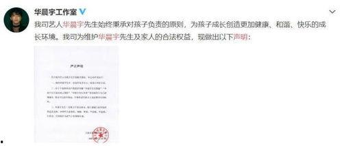 娱乐圈吃瓜专业词,娱乐圈“瓜田”风云录